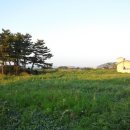 (주)오션그랜드호텔 이미지