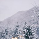 캠프우든브릿지 이미지