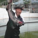 청룡농장 이미지