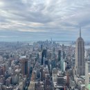 뉴엠호텔(New M) | 뉴욕 숙소 위치 추천 맨하튼 타임스퀘어 주위 M 소셜 호텔 후기