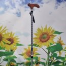 실버세상 복지용구 | 강원도 원주에서 복지용구사업소를 운영하는 믿음실버복지의 지팡이