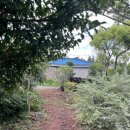 느긋한 시절 이미지