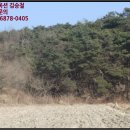 송동면 내사촌마을 네이버블로그