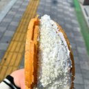 언니살빼