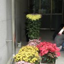 신도초교 이미지