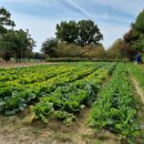 상상농장 이미지