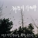 재즈피넛 이미지