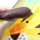 톰비드 이미지