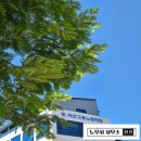 대전지방고용노동청 | [서산노동청] 회센터 근로자 주휴수당·연장수당 4천만원 청구 사건 방어 후기(첫 출석 조사의 중요성)