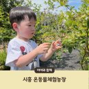 보람농장 | 시흥 온동물체험농장 28개월 아기랑 동물 먹이주기 내돈내산 솔직 후기
