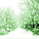 남대전자동차공업사 이미지