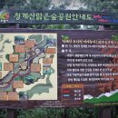 맑은숲 이미지