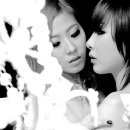 마이샤이닝 My Shining 이미지