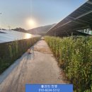 진정마을 태양광발전소 이미지