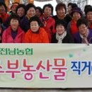 박종수농장 이미지