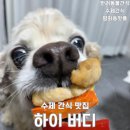 봉구네 수제육포 | 전주강아지수제간식 하이버디, 노령견도 잘 먹은 명절수제간식 후기