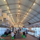 박사마을 | 춘천 박사마을 곰핫도그 솔직 후기(곰이 뭐지?)