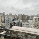 호우여행사주