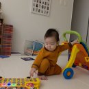 돌 전후 추천 장난감 & 그림책 내돈내산 리뷰 ㅣ 두두스토리, 러닝리소스, 별똥별, 립프로그 등등