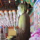 삼화사철조노사나불좌상 이미지