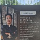 아름빌 | 맛집] 정갈한 한정식의 정석! 가족 모임·단체 회식하기 좋은 '아름빌' 점심특선 솔직후기 🌾✨(6/10 방문)