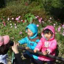 자연학습공원 이미지