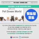 주식회사 펫드림월드 이미지