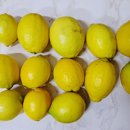 청림농장 이미지