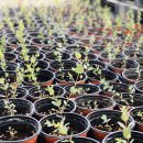 원복농장 이미지