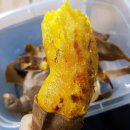 충만농장 이미지