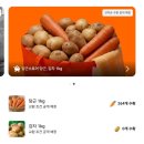 당근이네 | [일상] 당근이네 옥상텃밭 시즌1 '당근 무료 교환' 후기🥕