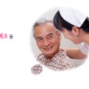 조치원 노인전문병원 Daum카페