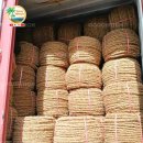 코이어(coir)