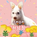 하남 이미지