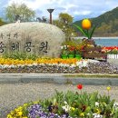 송해코스 티스토리
