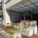 강남역피부과 세르프 600샷 아프지 않은 고주파 리프팅 후기 써마지 울쎄라 덴서티 비교