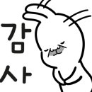 완월동246 이미지