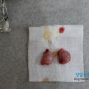 장암종합동물병원 이미지
