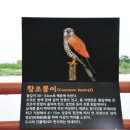 매류연 이미지