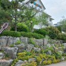 삐끄니끄 펜션 이미지