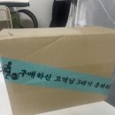 헬스스트랩추천 :: 스테디(STEADY)