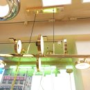 창성(애견) 이미지