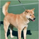 원당중학교 이미지