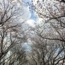서우자동차공업사 - 전주시 덕진구 신복천변1길 38 | 서우자동차공업사