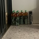 수곡중학교 | [임신6주차일상] 심장소리 확인💕 다이소 초음파앨범, 시댁 임밍아웃, 야무지게 추석 보내기 ~