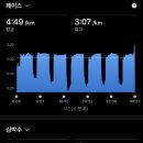 반포종합운동장 네이버블로그