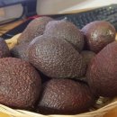 홍길동농장 이미지