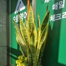 오름영어교습소 - 서대문구 명지대길 59 | 오름영어교습소