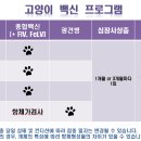 나아라 동물병원 이미지