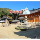 도림사(제6호) | {대구시 동구} 수려한 자연경관과 어울리는 사찰, 팔공산 북지장사